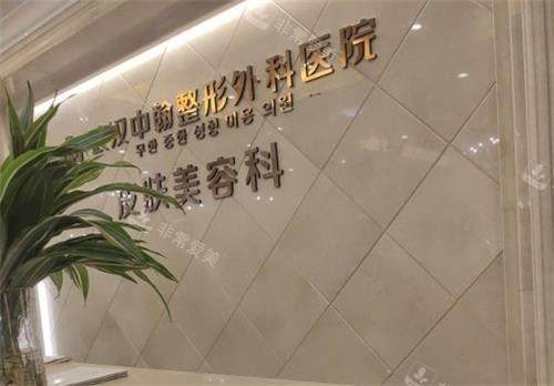 武漢中翰整形logo圖 武漢中翰整形logo圖