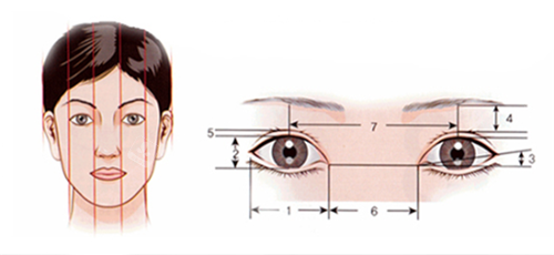 北京客莱美舍整形眼标准示意图