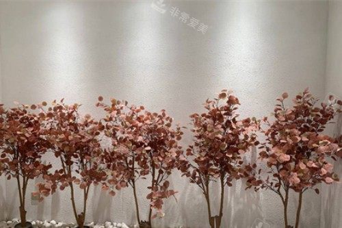 汕头紫龄医疗美容内部环境