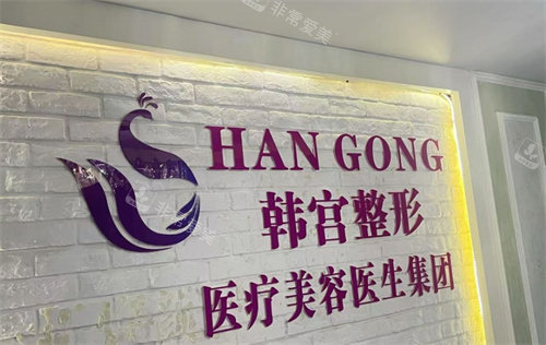 合肥韩宫整形医疗logo图墙