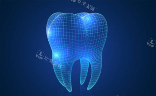 牙齿建模模型图