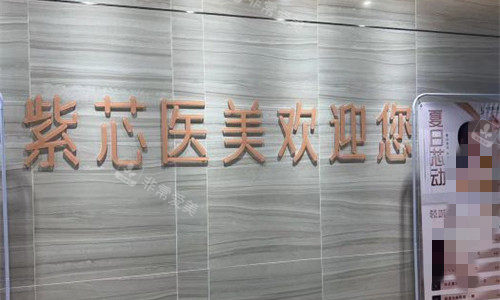 东莞紫芯医疗美容logo图 东莞紫芯医疗美容logo图