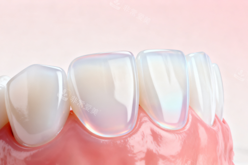 健康牙齿模型图