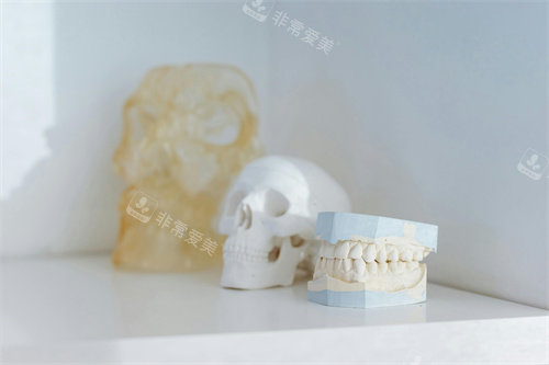 医用牙齿模型宣传图