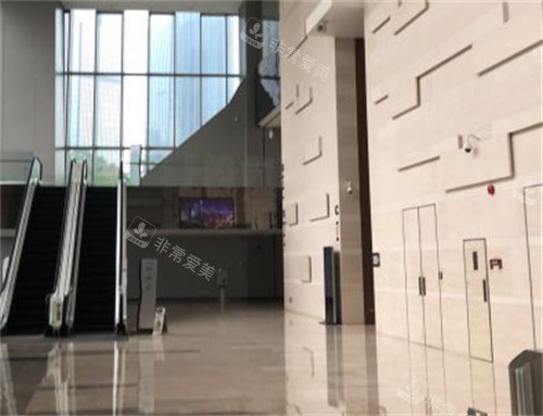 广州马泷口腔电梯