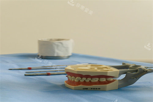 牙齿模型正在制作