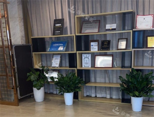 长沙禾丽医疗美容荣誉展示区