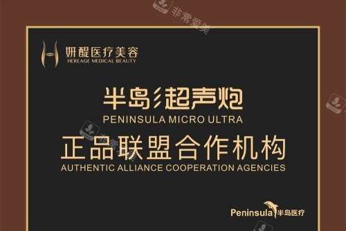 杭州妍醍整形半岛超声炮联盟合作机构示意图