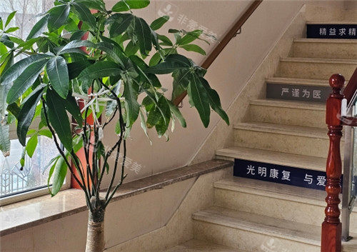 大连中爱眼科楼梯环境图
