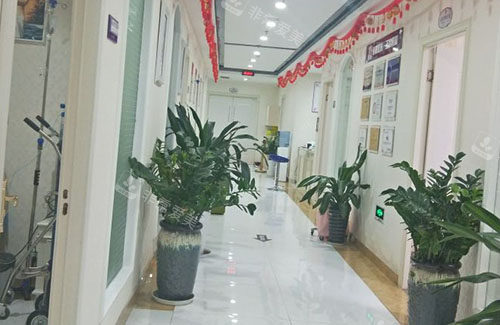 金华丽都整形走廊环境图