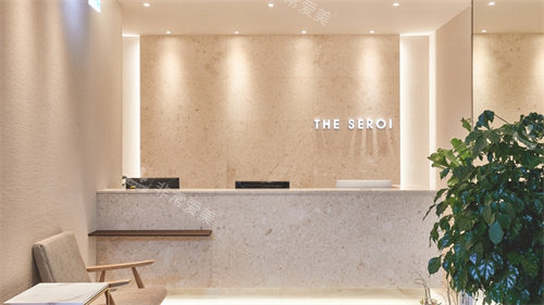 韩国theseroi整形外科的前台 韩国theseroi整形外科的前台
