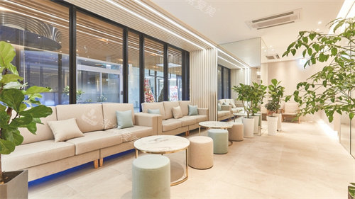 韩国theseroi整形外科休息区 韩国theseroi整形外科休息区