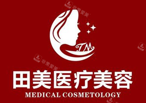 赣州田美医疗美容LOGO示意图