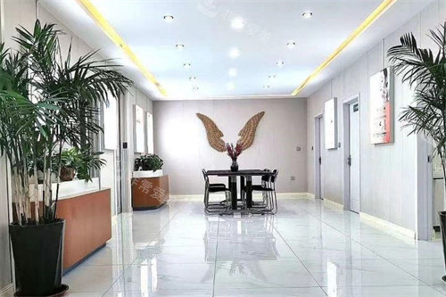 东营京美医疗美容环境 东营京美医疗美容环境