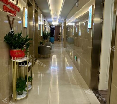 泉州欧菲医疗美容走廊 泉州欧菲医疗美容走廊