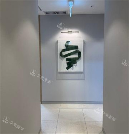 韩国PIND整形走廊 韩国PIND整形走廊