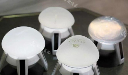 傲诺拉假体图片