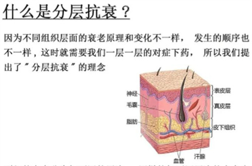 分层抗衰解析 分层抗衰解析