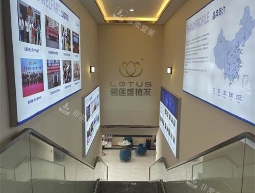 呼和浩特碧莲盛植发二楼楼梯环境