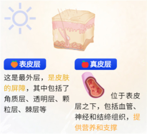 韩国口碑好的皮肤科排名:依据25年顾客反馈vmj与原辰榜上有名!