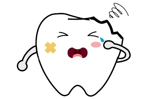 牙齿损害动画图