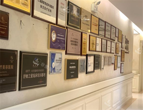 北京圣嘉新整形荣誉墙环境图