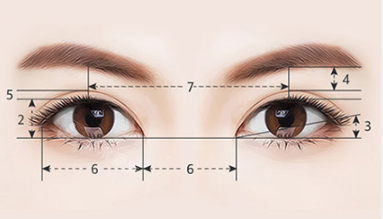眼睛美学标准
