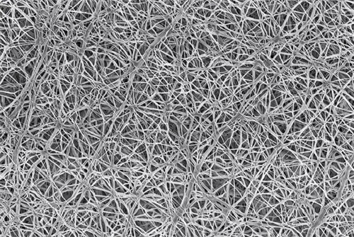 隆鼻手术膨体材料内部构造