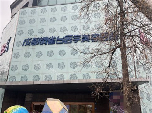 成都铜雀台整形外观图