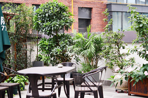 成都金牛釉芽口腔绿化环境