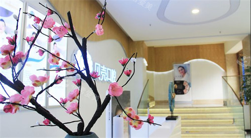 成都贝壳口腔台阶