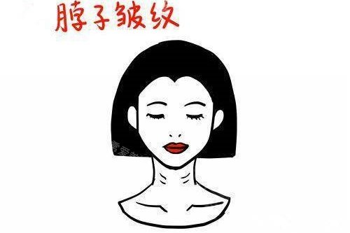 脖子皺紋卡通圖 脖子皺紋卡通圖