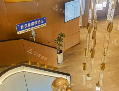 杭州星璨整形樓梯俯視圖