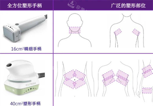 美国既塑3D溶脂使用部位