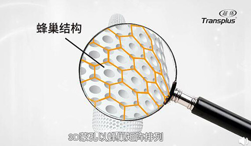 超体隆鼻蜂巢结构