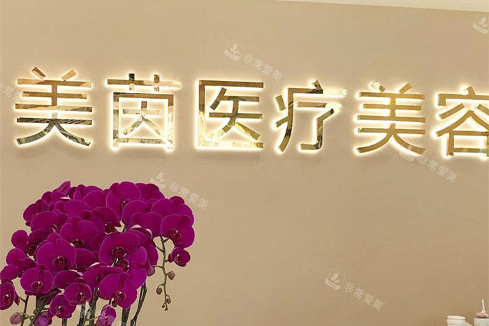 成都美茵医疗美容logo墙