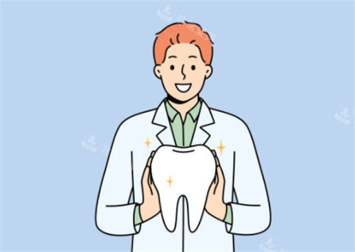 医生和牙齿示意图