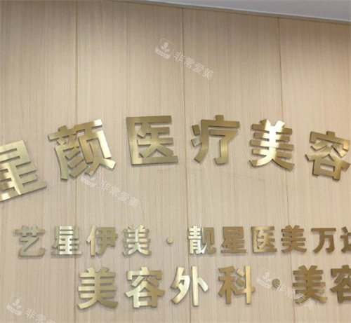 廊坊星颜医疗美容logo墙