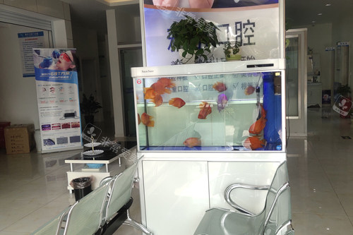 南京高淳雅乐口腔大厅图