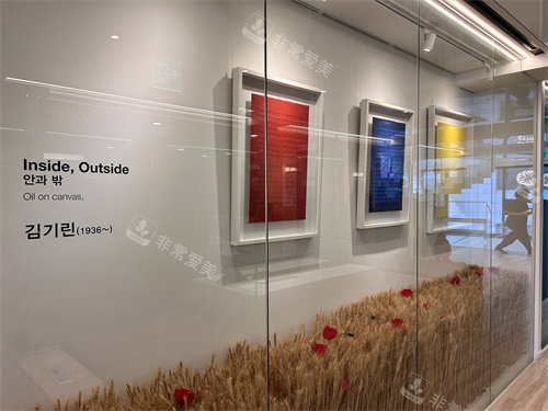 MOMO 整形外科走廊