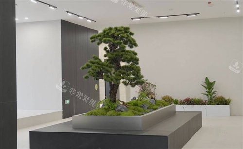 泰州小鹿医疗美容环境一角