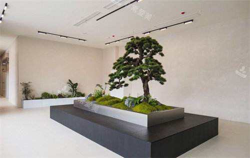 泰州小鹿医疗美容内部环境