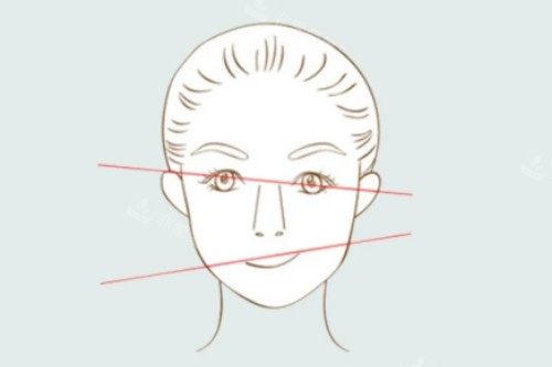 脸型不对称卡通图