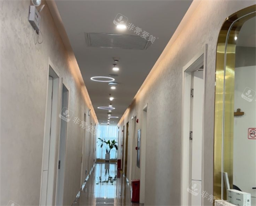 东莞紫芯整形过道区