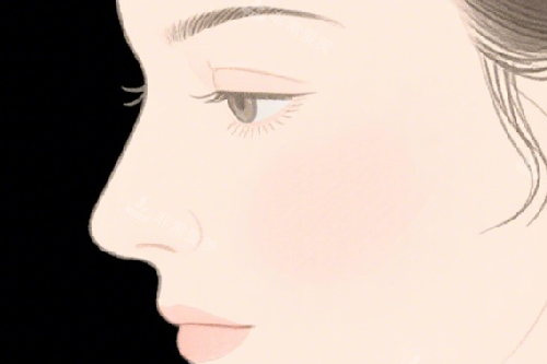 好看的鼻子 好看的鼻子