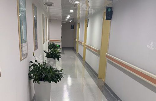 北京煤医医疗美容走廊环境图 北京煤医医疗美容走廊环境图
