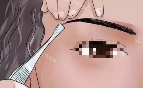 丝雾纹眉示意图