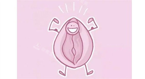 小阴唇整形手术 小阴唇整形手术