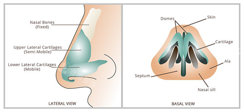 隆鼻手术动画 隆鼻手术动画