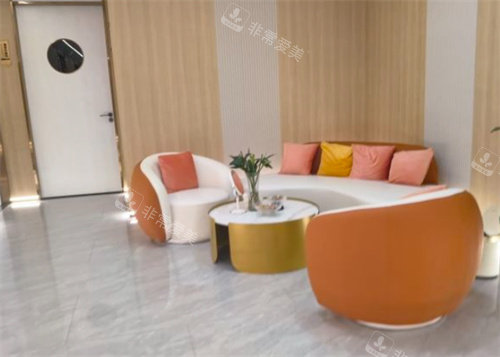 杭州林畔医疗美容沙发 杭州林畔医疗美容沙发